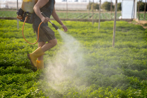Best Commercial Pest Control Services  in Chamberlain, SD