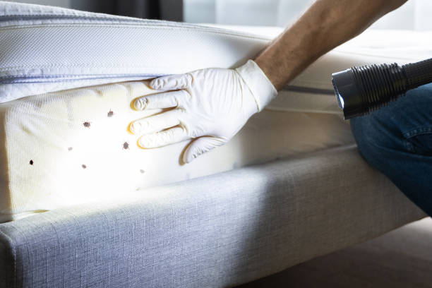 Best Pest Inspection Near Me  in Chamberlain, SD