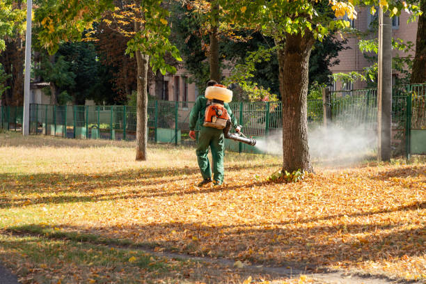 Pest Control for Restaurants in Chamberlain, SD