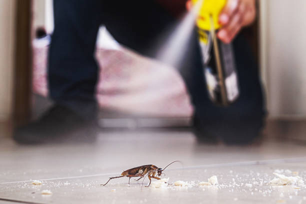  Chamberlain, SD Pest Control Pros